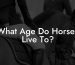 What Age Do Horses Live To?