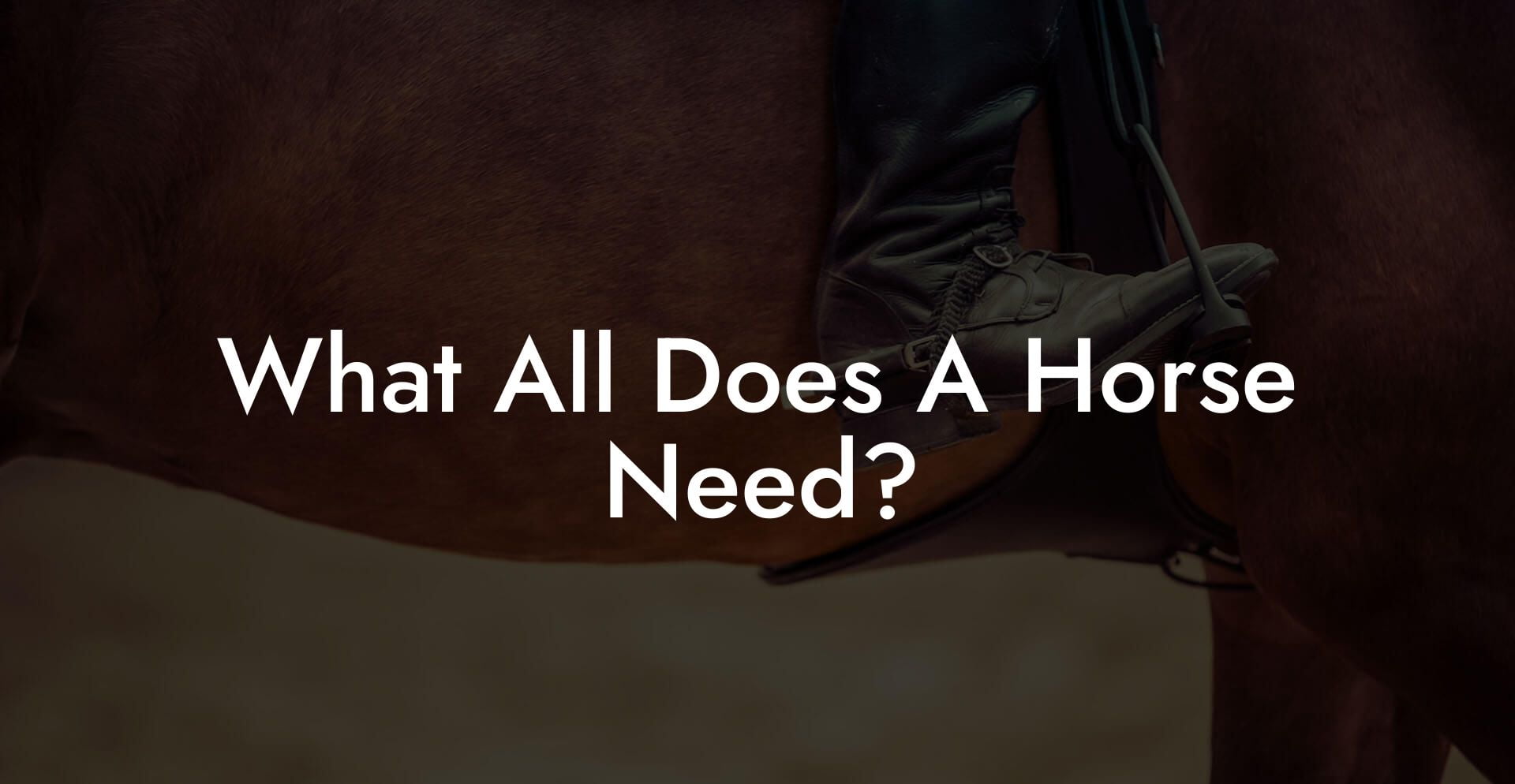 What All Does A Horse Need?