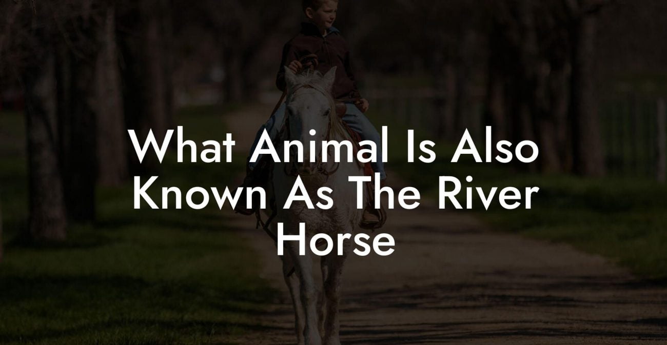 What Animal Is Also Known As The River Horse