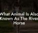 What Animal Is Also Known As The River Horse