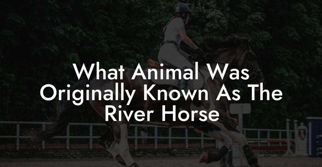 What Animal Was Originally Known As The River Horse