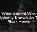 What Animal Was Originally Known As The River Horse