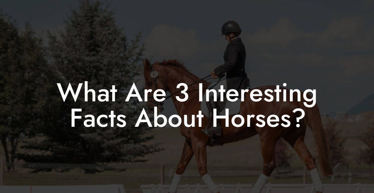 What Are 3 Interesting Facts About Horses?