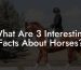 What Are 3 Interesting Facts About Horses?