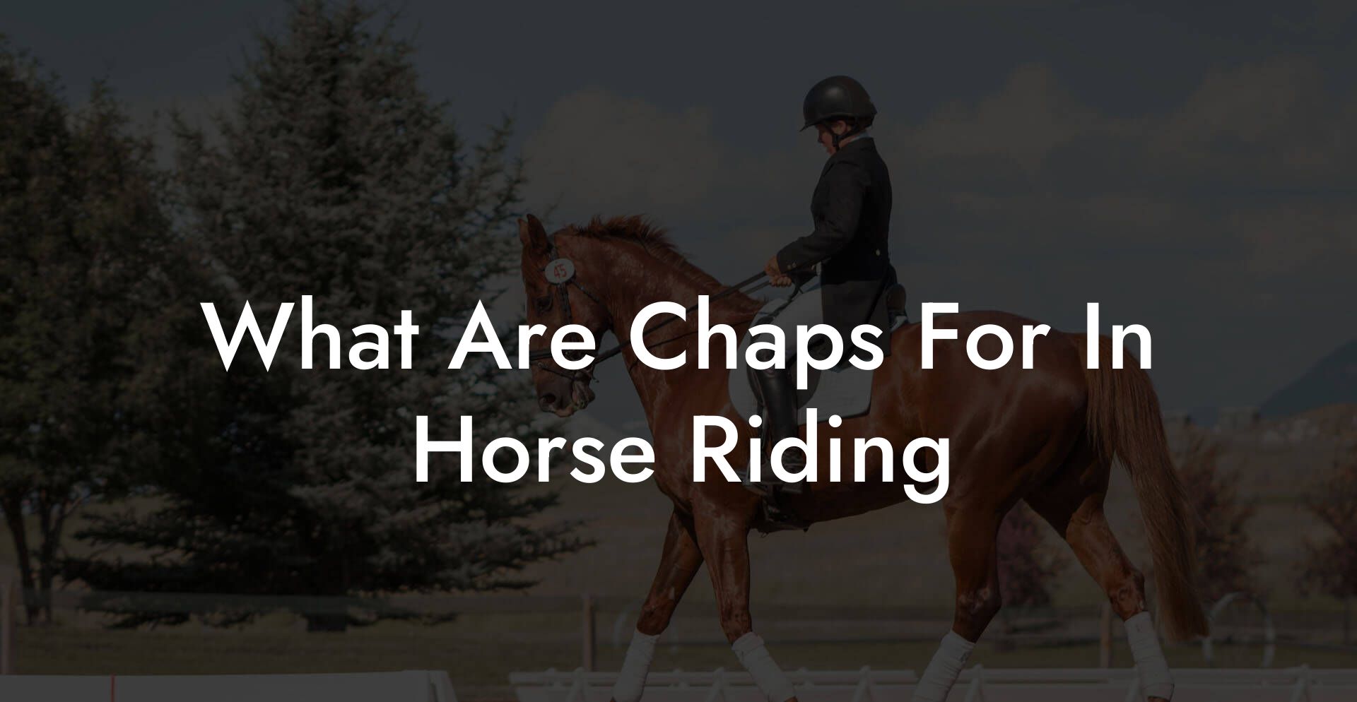 What Are Chaps For In Horse Riding