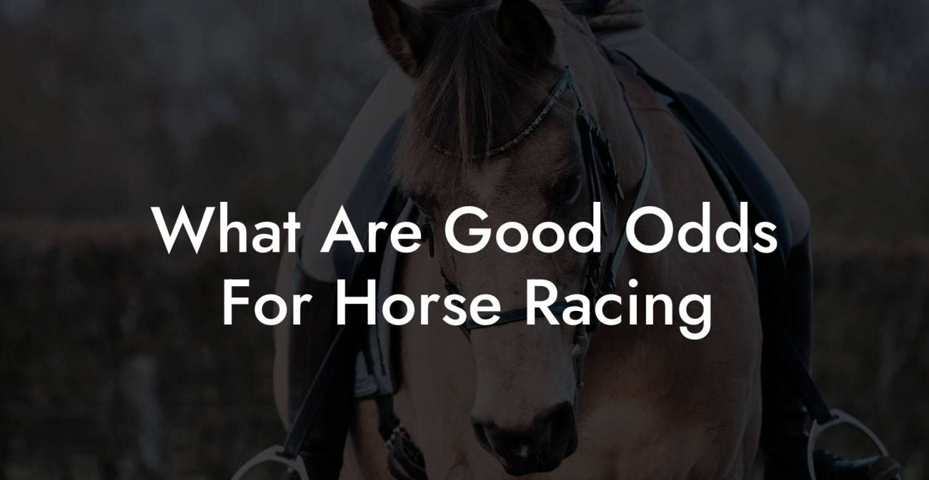 What Are Good Odds For Horse Racing
