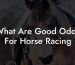 What Are Good Odds For Horse Racing