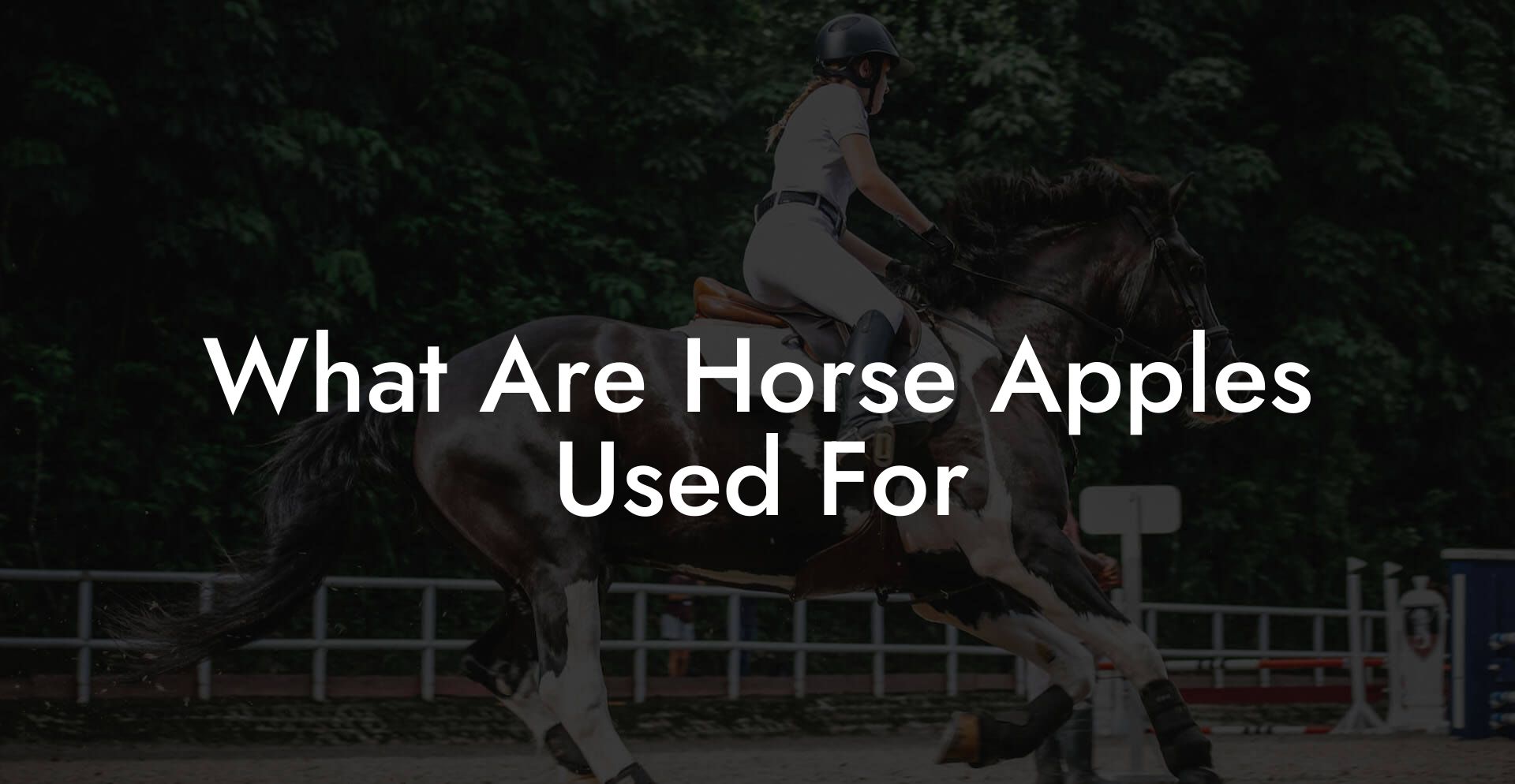 What Are Horse Apples Used For