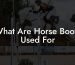 What Are Horse Boots Used For