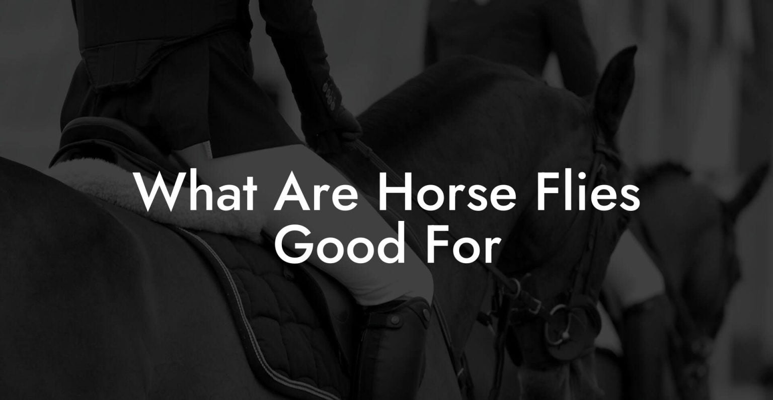 What Are Horse Flies Good For How To Own a Horse