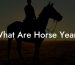 What Are Horse Years