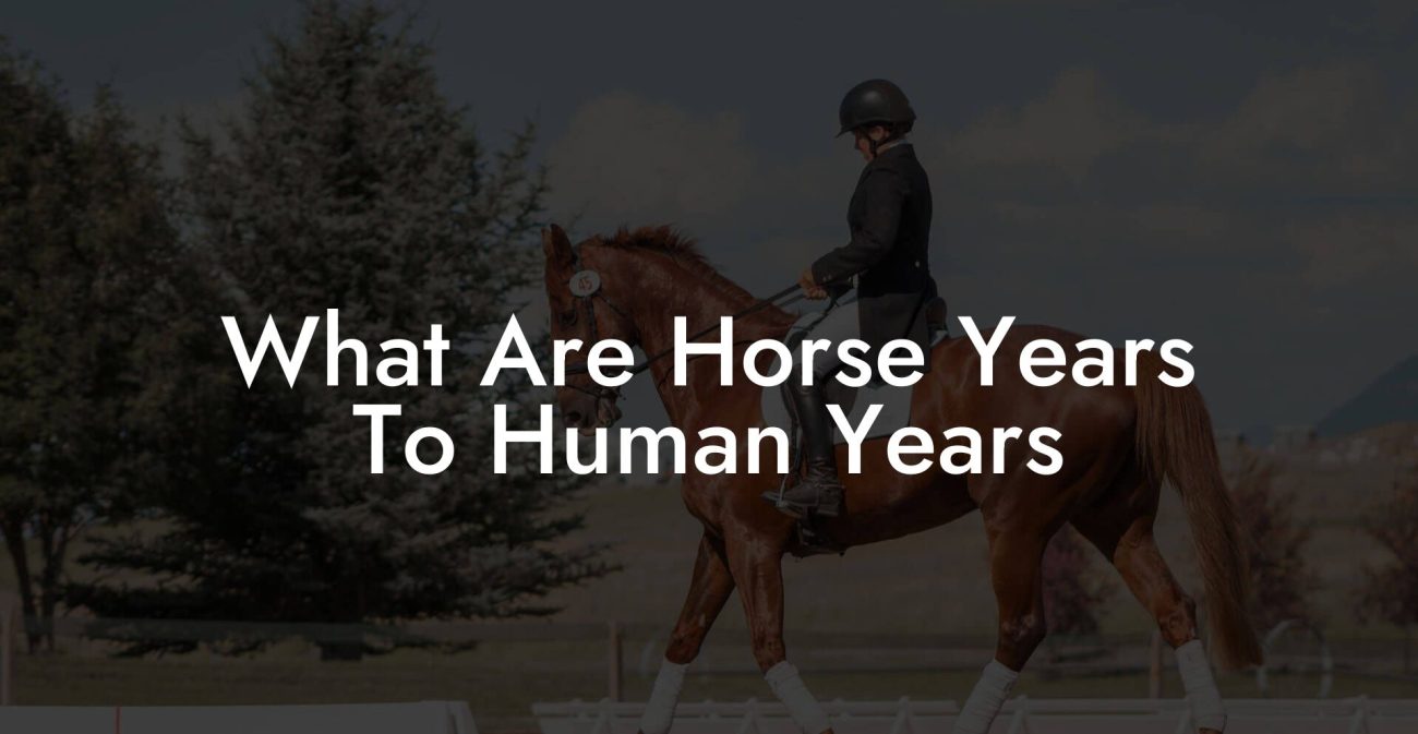 What Are Horse Years To Human Years