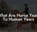 What Are Horse Years To Human Years