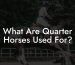 What Are Quarter Horses Used For?