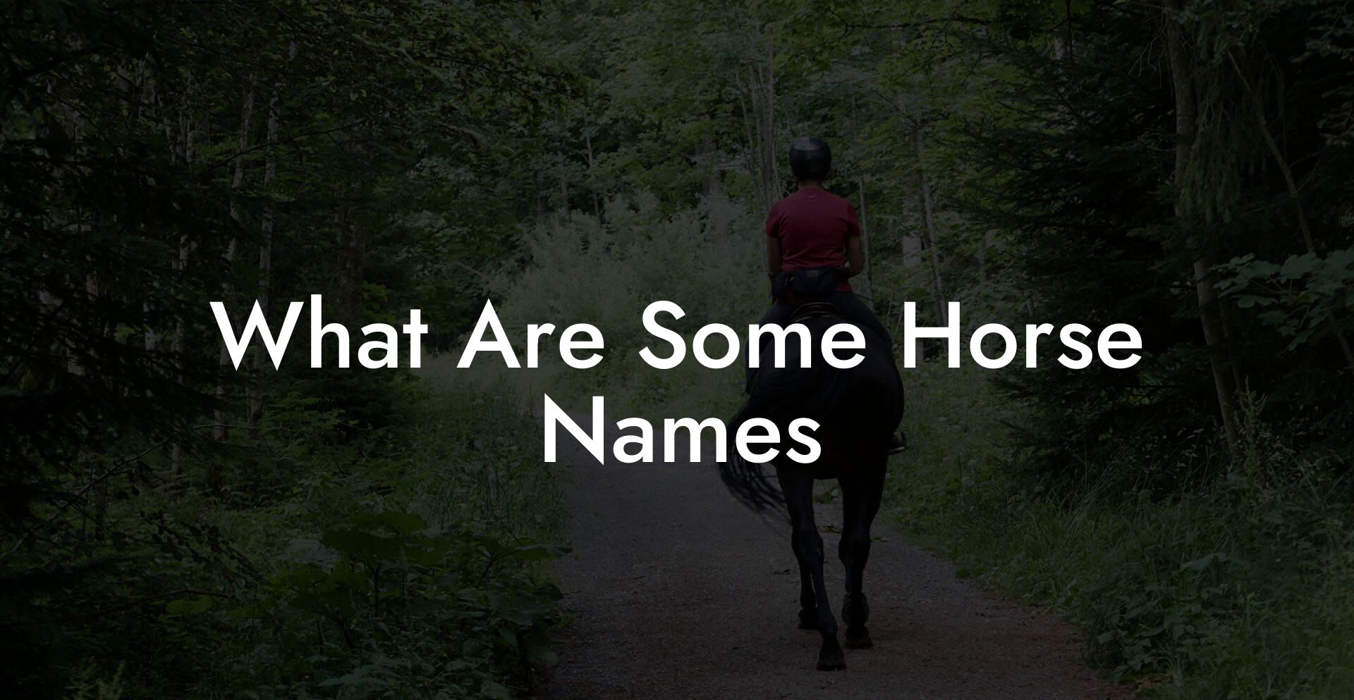 What Are Some Horse Names