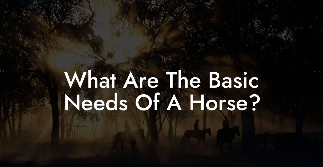 What Are The Basic Needs Of A Horse?