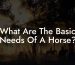 What Are The Basic Needs Of A Horse?