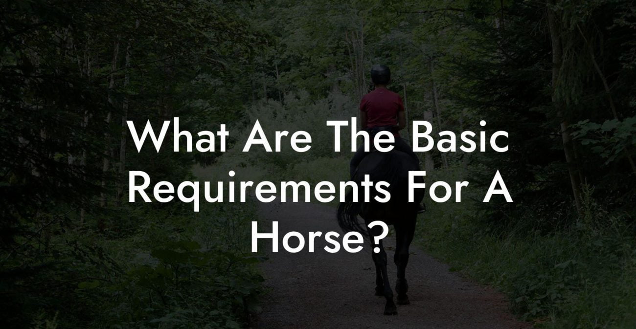 What Are The Basic Requirements For A Horse?