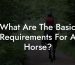What Are The Basic Requirements For A Horse?