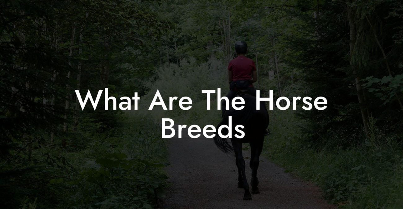 What Are The Horse Breeds