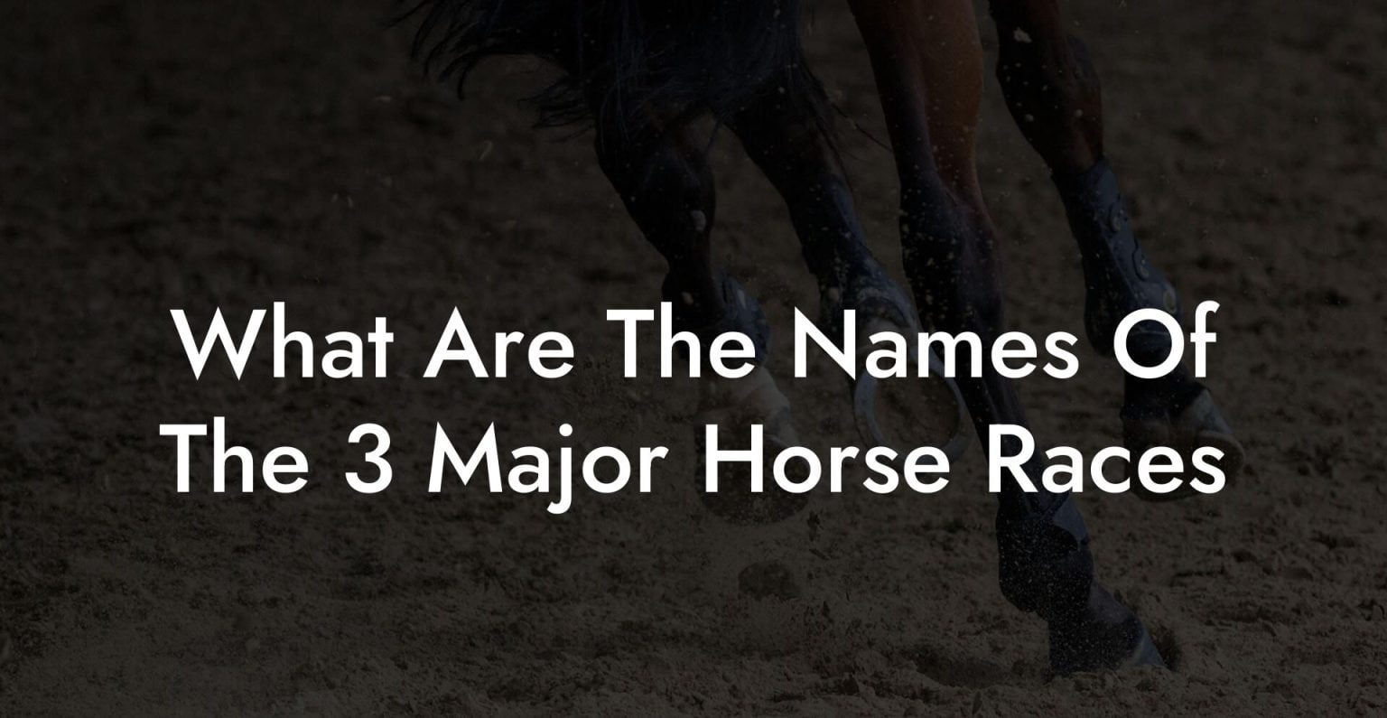 What Are The Names Of The 3 Major Horse Races How To Own a Horse