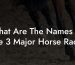 What Are The Names Of The 3 Major Horse Races