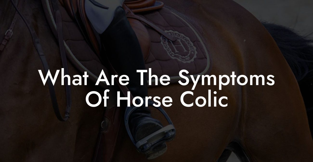 What Are The Symptoms Of Horse Colic