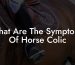 What Are The Symptoms Of Horse Colic
