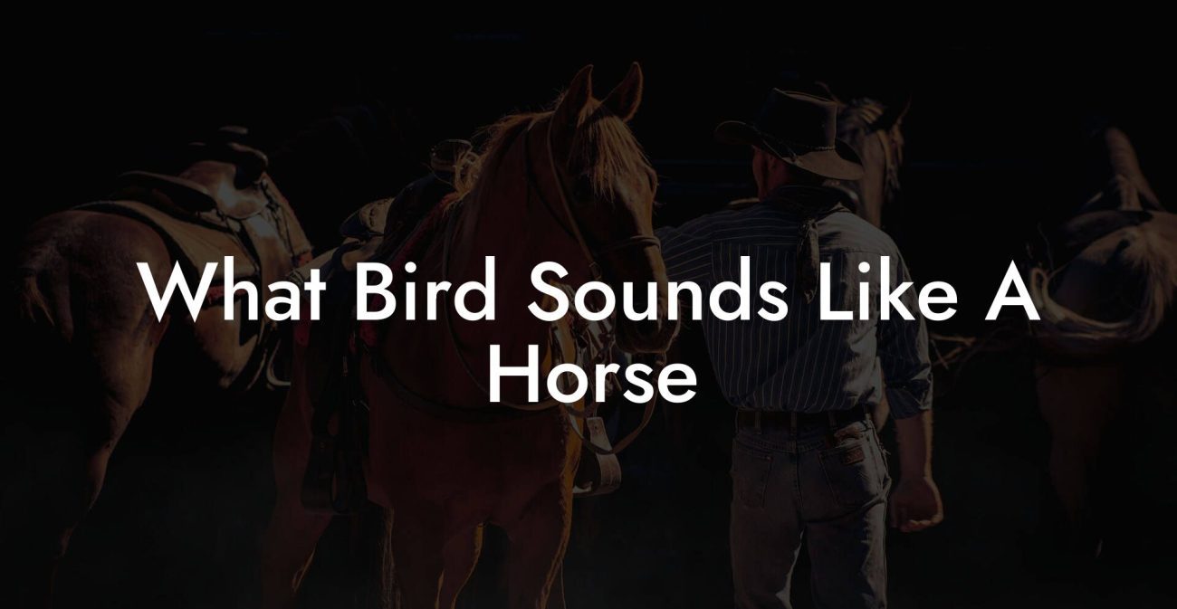 What Bird Sounds Like A Horse