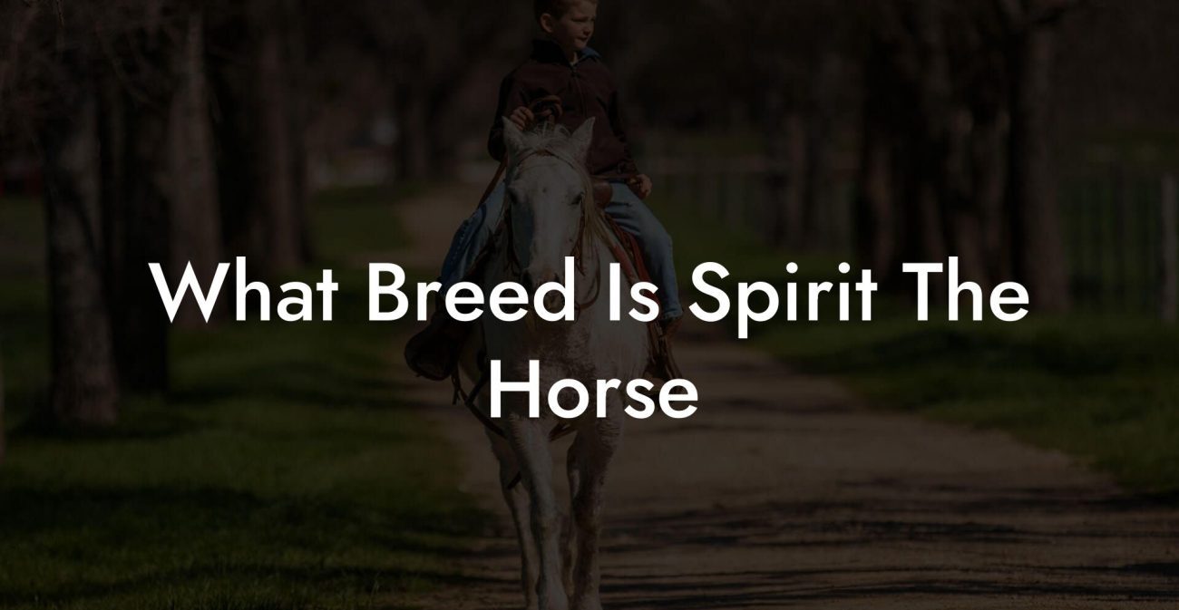 What Breed Is Spirit The Horse