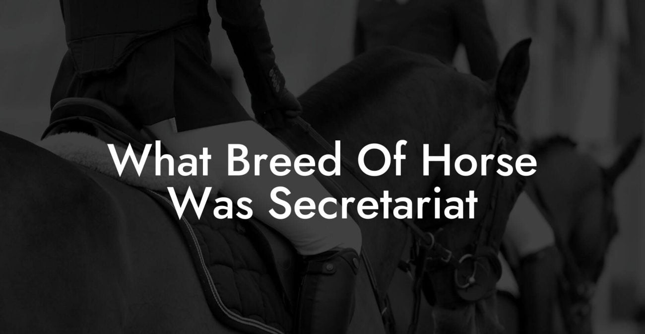 What Breed Of Horse Was Secretariat