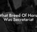 What Breed Of Horse Was Secretariat