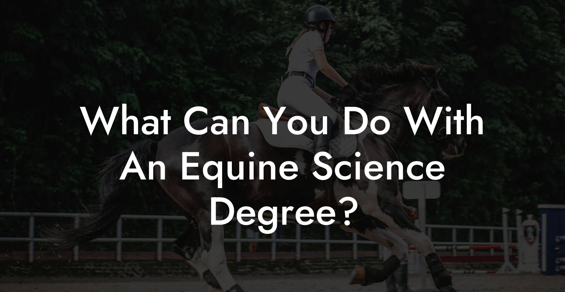 What Can You Do With An Equine Science Degree?