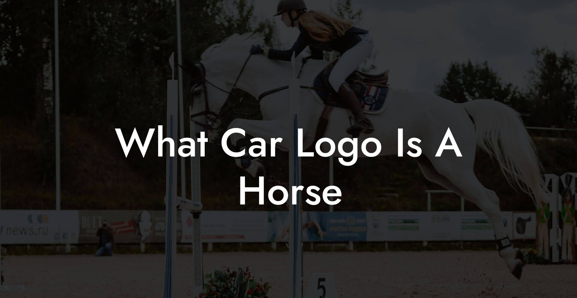 What Car Logo Is A Horse