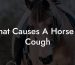 What Causes A Horse To Cough
