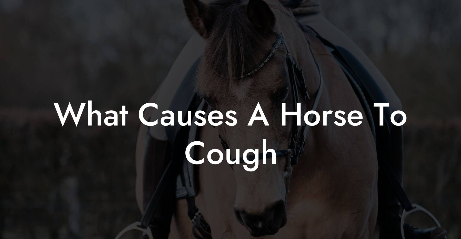 What Causes A Horse To Cough