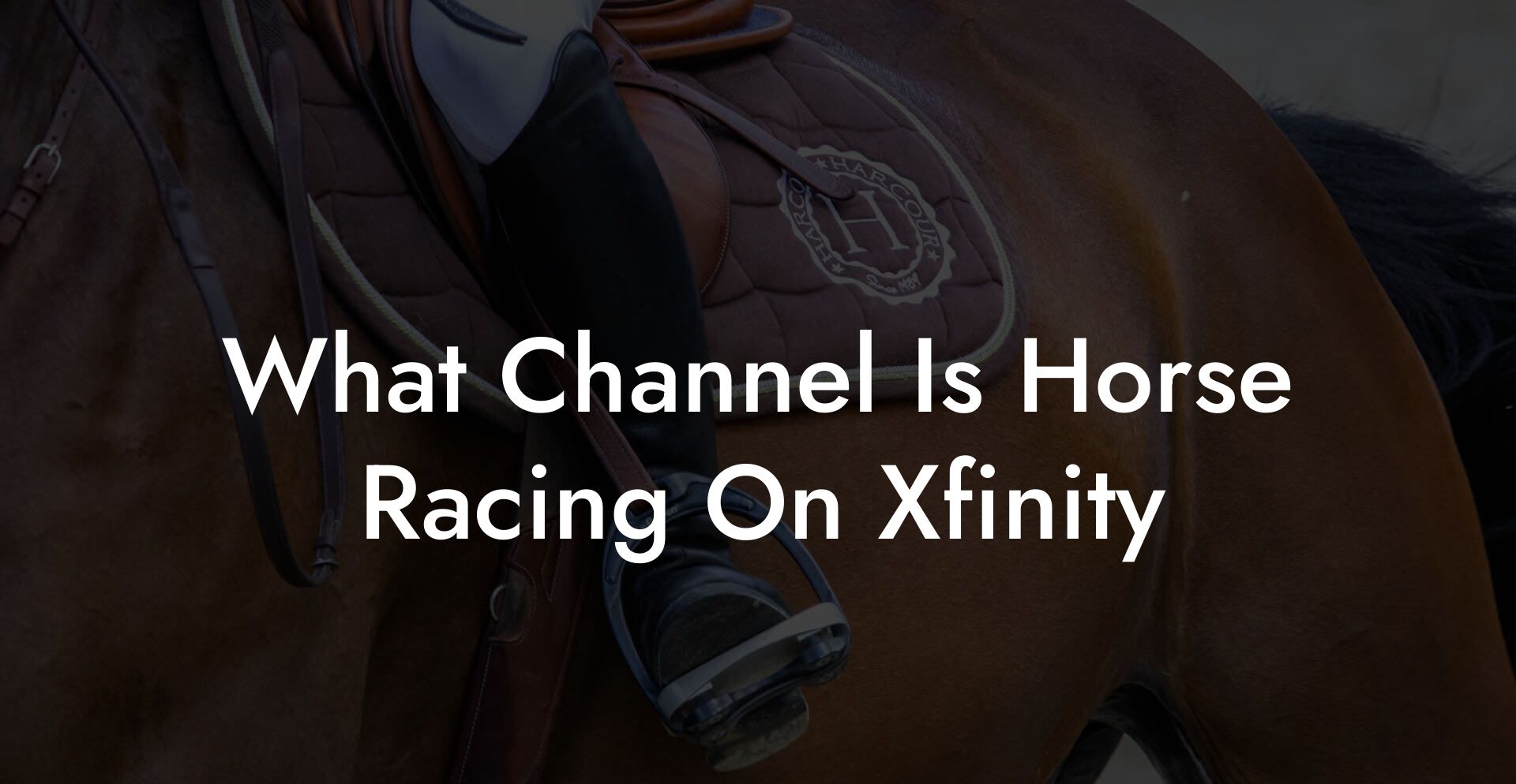 What Channel Is Horse Racing On Xfinity