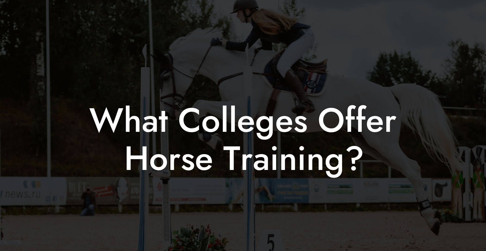 What Colleges Offer Horse Training?