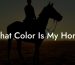 What Color Is My Horse