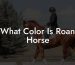 What Color Is Roan Horse