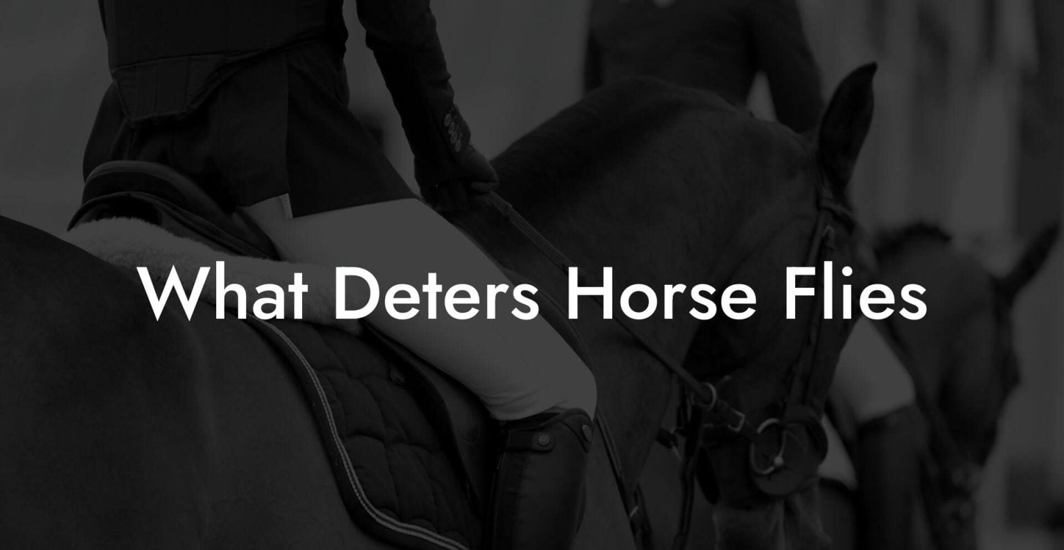 What Deters Horse Flies How To Own a Horse
