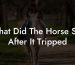 What Did The Horse Say After It Tripped