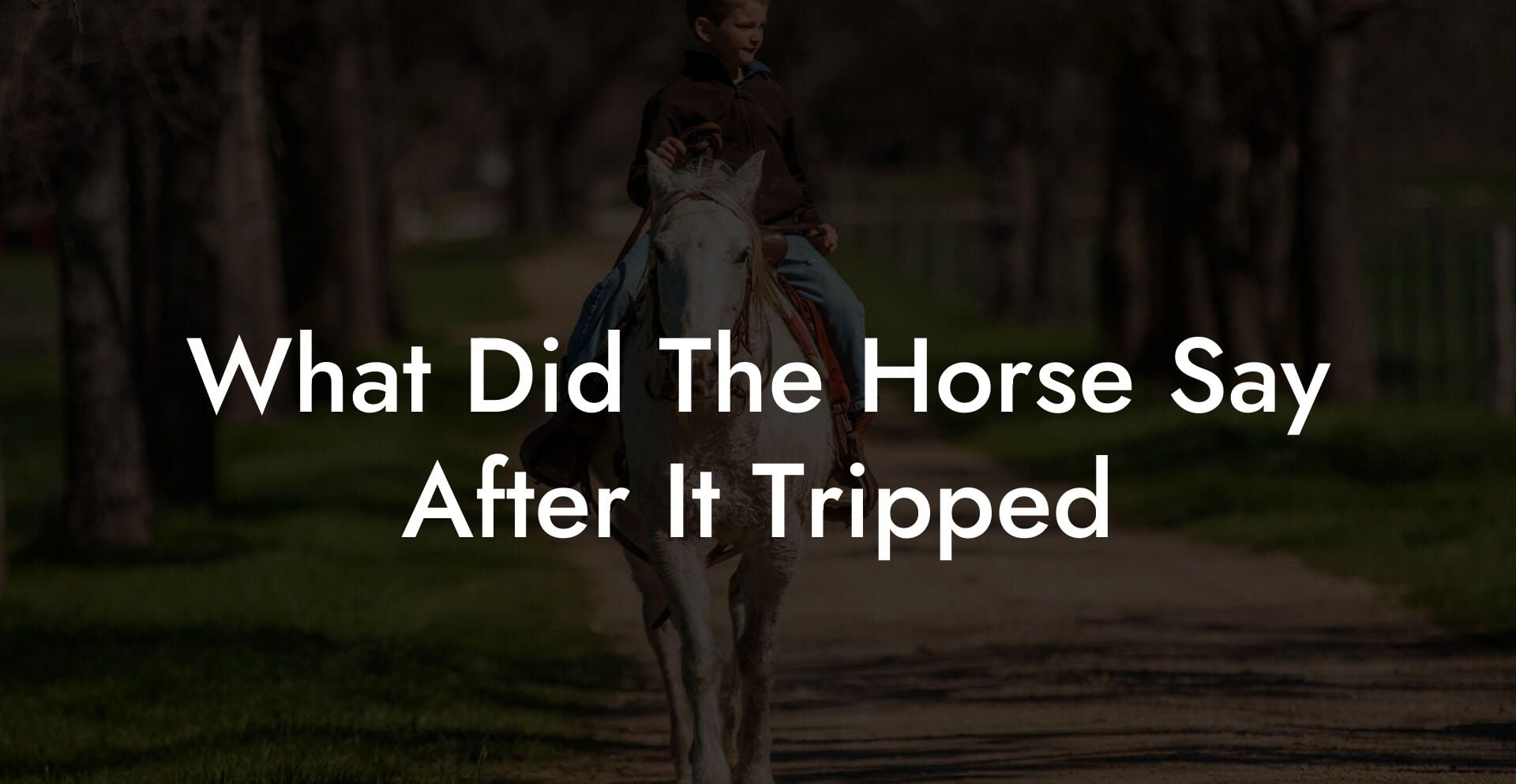 What Did The Horse Say After It Tripped