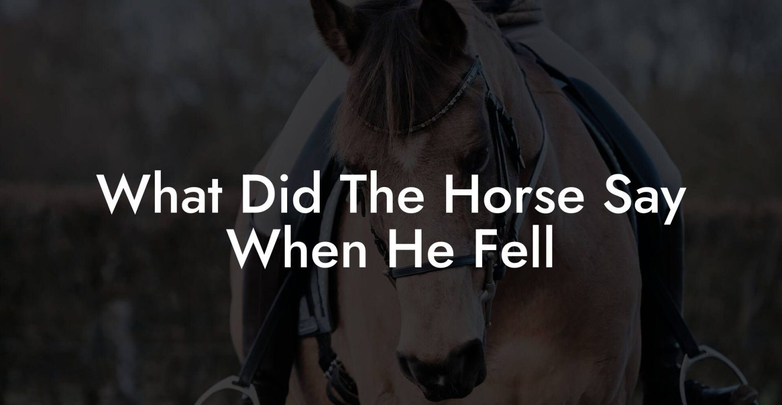 What Did The Horse Say When He Fell How To Own a Horse