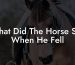 What Did The Horse Say When He Fell