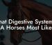 What Digestive System Is A Horses Most Like