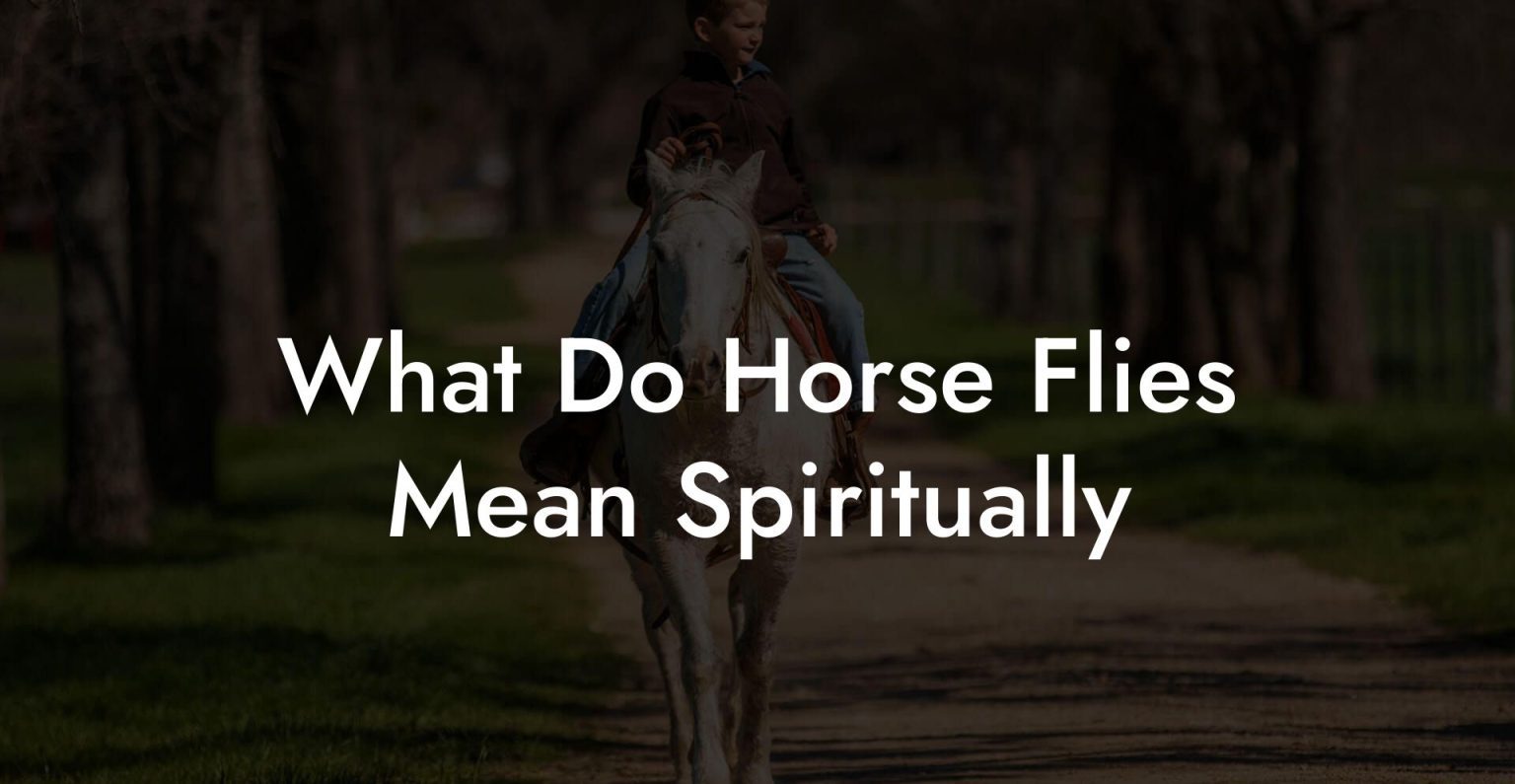 What Do Horse Flies Mean Spiritually How To Own a Horse