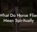 What Do Horse Flies Mean Spiritually