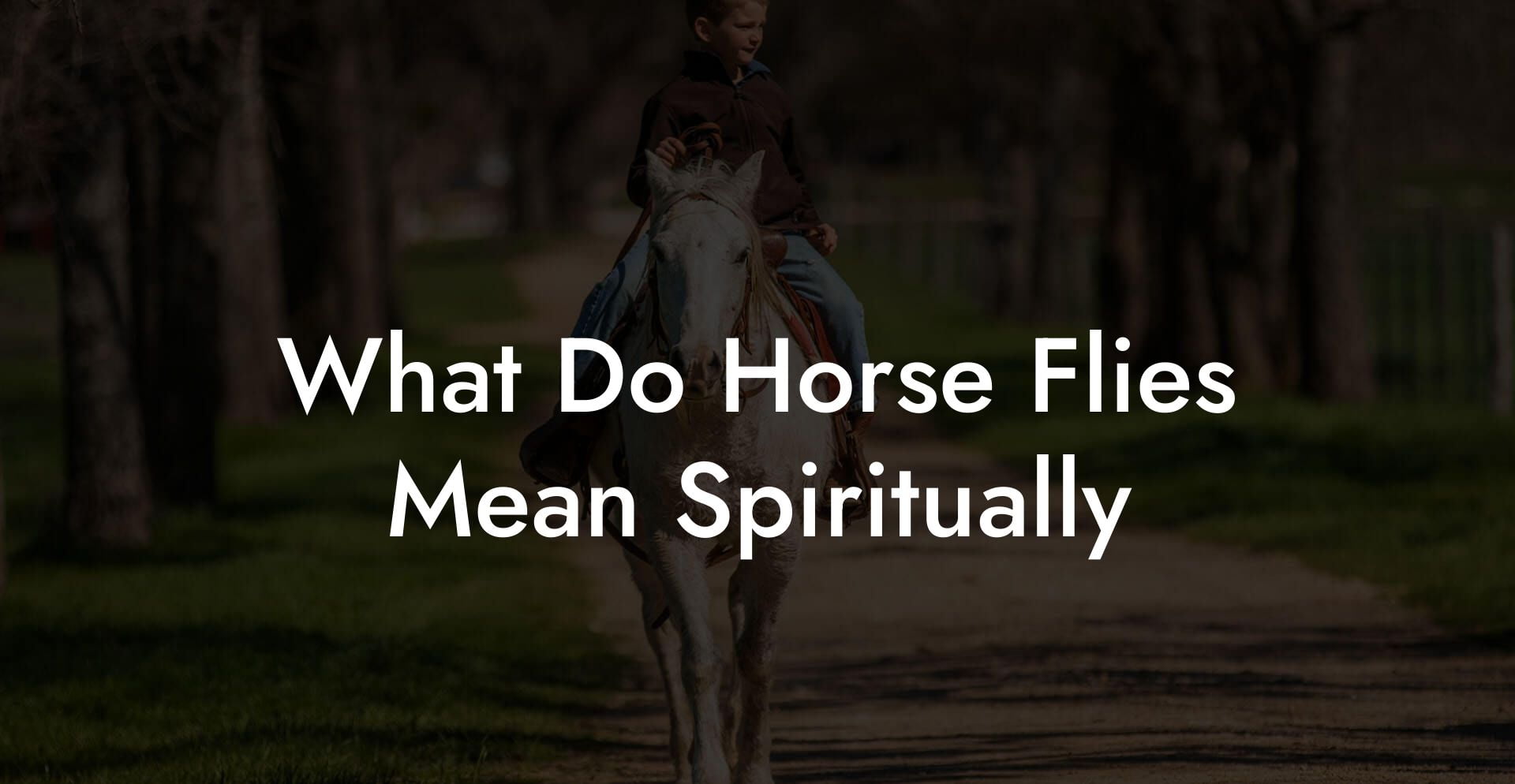 What Do Horse Flies Mean Spiritually