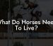 What Do Horses Need To Live?